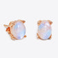 Natural Moonstone 4-Prong Stud Earrings